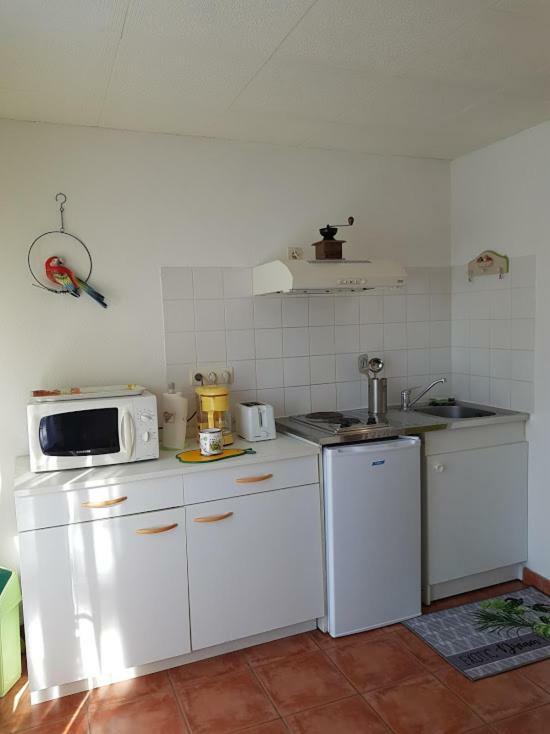 Studio Cote Sud Vert Sarlat-la-Canéda Eksteriør bilde